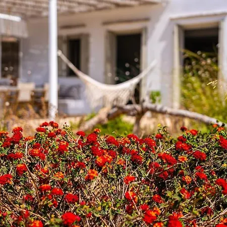 House Of Harmony - Beachfront Prázdninový dům Andiparos